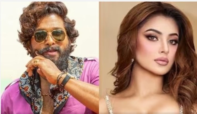 Urvashi Rautela Charged A 'Bomb' For Allu Arjun's Pushpa 2: Report